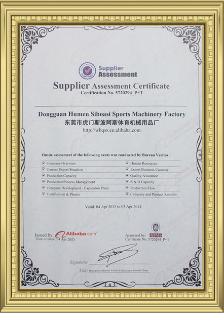 China Dongguan Skyegle Intelligent Technology Co.,Ltd. certificaciones